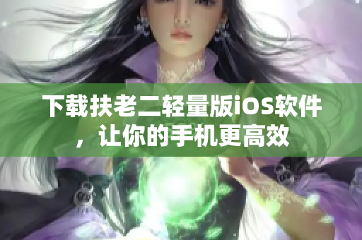 下载扶老二轻量版iOS软件，让你的手机更高效