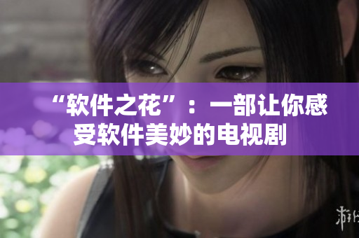“软件之花”：一部让你感受软件美妙的电视剧