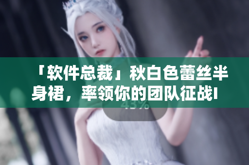 「软件总裁」秋白色蕾丝半身裙，率领你的团队征战IT界