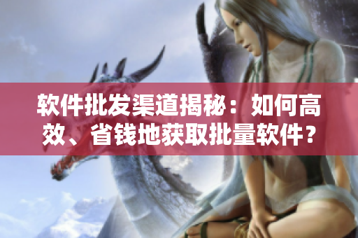 软件批发渠道揭秘：如何高效、省钱地获取批量软件？