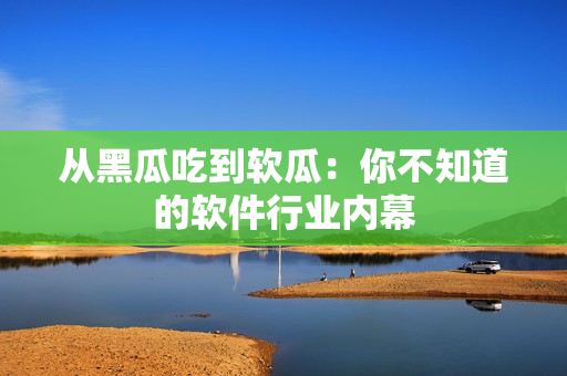 从黑瓜吃到软瓜：你不知道的软件行业内幕