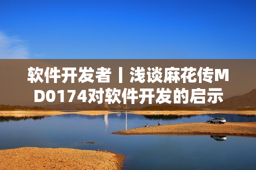 软件开发者丨浅谈麻花传MD0174对软件开发的启示