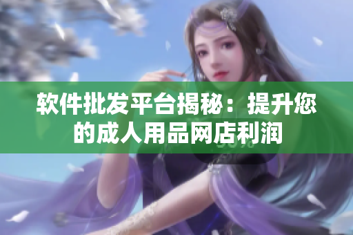 软件批发平台揭秘：提升您的成人用品网店利润