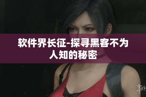 软件界长征-探寻黑客不为人知的秘密