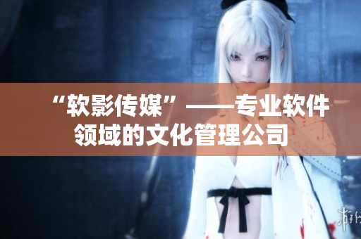 “软影传媒”——专业软件领域的文化管理公司