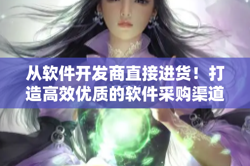 从软件开发商直接进货！打造高效优质的软件采购渠道