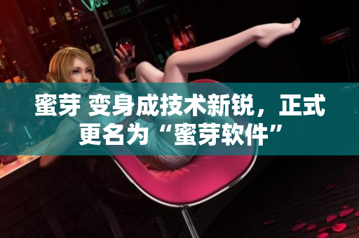 蜜芽 变身成技术新锐，正式更名为“蜜芽软件”