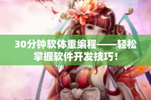 30分钟软体重编程——轻松掌握软件开发技巧！