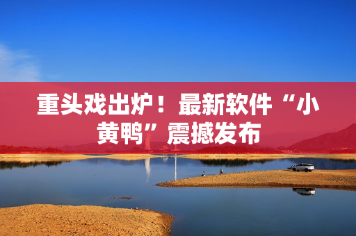 重头戏出炉！最新软件“小黄鸭”震撼发布