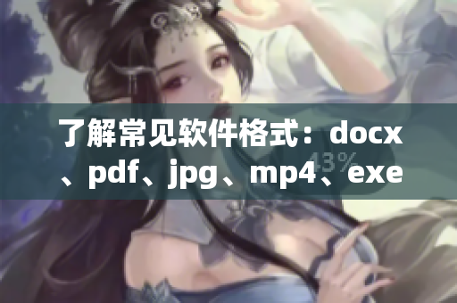 了解常见软件格式：docx、pdf、jpg、mp4、exe等。