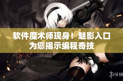 软件魔术师现身！魅影入口为您揭示编程奇技