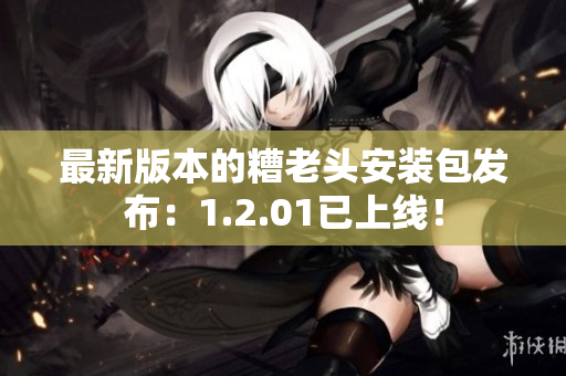 最新版本的糟老头安装包发布：1.2.01已上线！