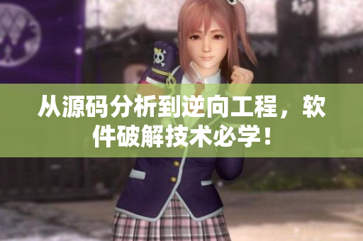 从源码分析到逆向工程，软件破解技术必学！