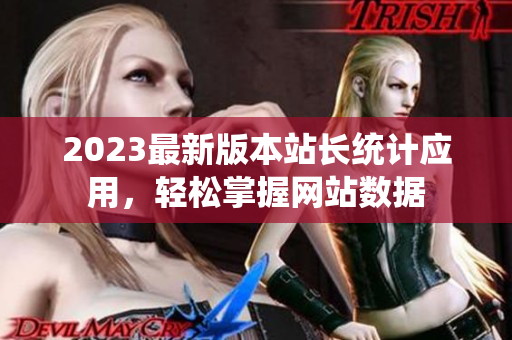 2023最新版本站长统计应用，轻松掌握网站数据