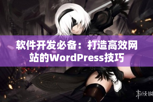软件开发必备：打造高效网站的WordPress技巧