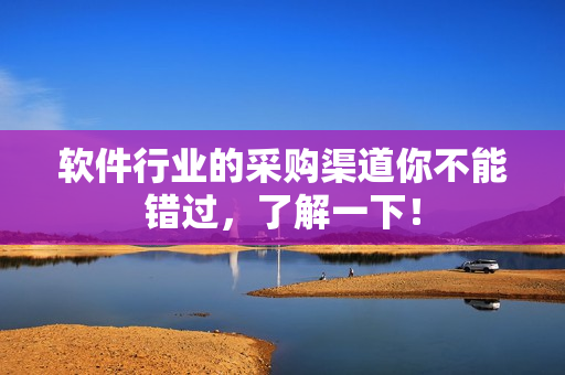 软件行业的采购渠道你不能错过，了解一下！