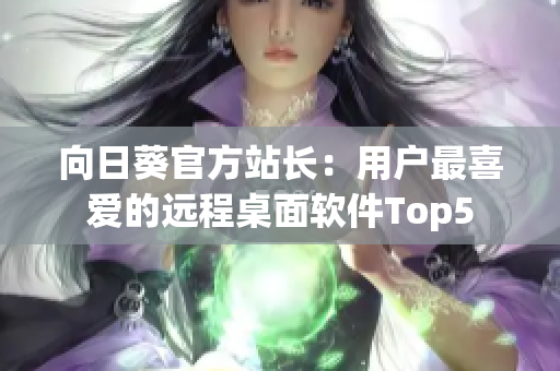 向日葵官方站长：用户最喜爱的远程桌面软件Top5