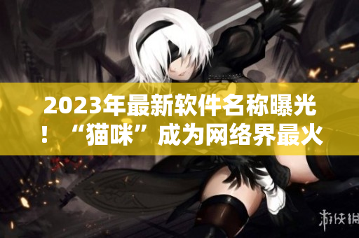 2023年最新软件名称曝光！“猫咪”成为网络界最火爆关键词！