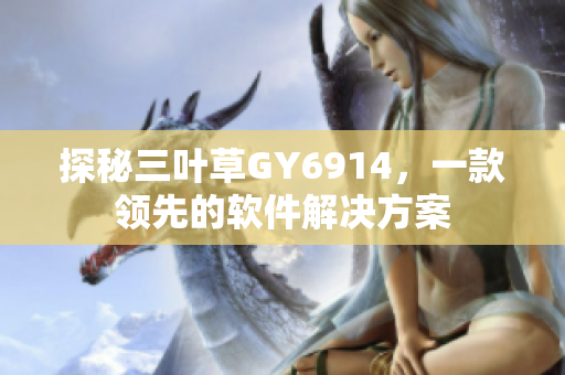 探秘三叶草GY6914，一款领先的软件解决方案