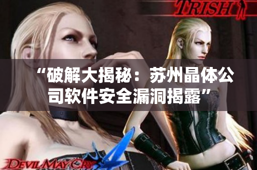 “破解大揭秘：苏州晶体公司软件安全漏洞揭露”