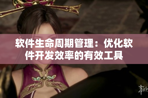 软件生命周期管理：优化软件开发效率的有效工具