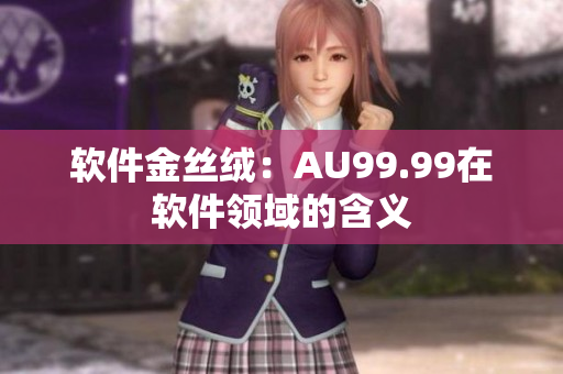 软件金丝绒：AU99.99在软件领域的含义