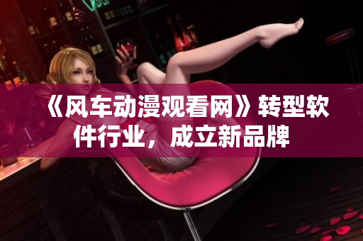 《风车动漫观看网》转型软件行业，成立新品牌