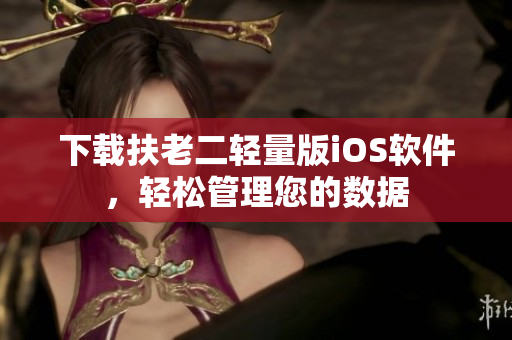 下载扶老二轻量版iOS软件，轻松管理您的数据
