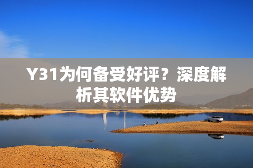 Y31为何备受好评？深度解析其软件优势