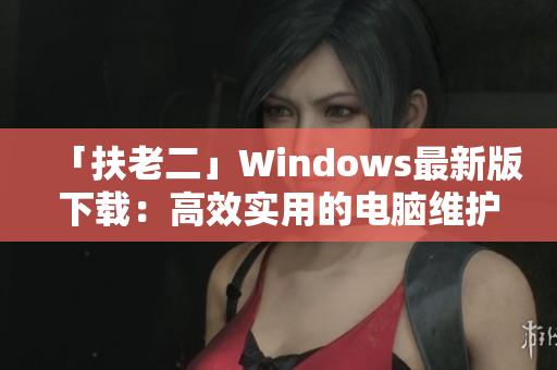 「扶老二」Windows最新版下载：高效实用的电脑维护软件