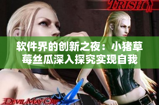 软件界的创新之夜：小猪草莓丝瓜深入探究实现自我