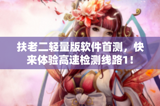 扶老二轻量版软件首测，快来体验高速检测线路1！