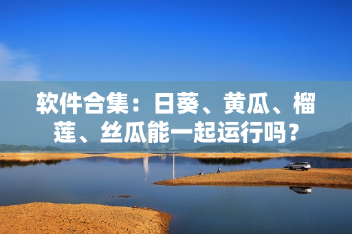 软件合集：日葵、黄瓜、榴莲、丝瓜能一起运行吗？