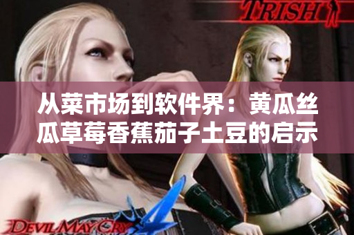从菜市场到软件界：黄瓜丝瓜草莓香蕉茄子土豆的启示