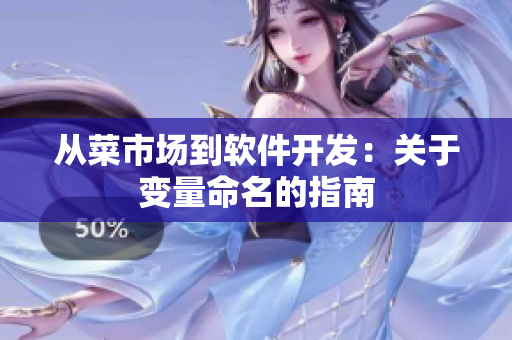 从菜市场到软件开发：关于变量命名的指南