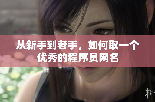 从新手到老手，如何取一个优秀的程序员网名
