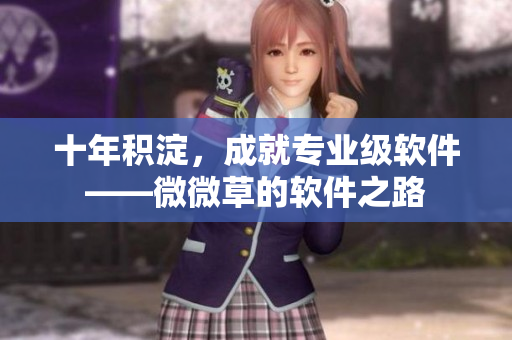 十年积淀，成就专业级软件——微微草的软件之路