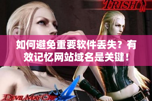 如何避免重要软件丢失？有效记忆网站域名是关键！