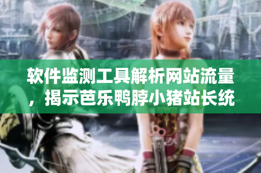 软件监测工具解析网站流量，揭示芭乐鸭脖小猪站长统计实质