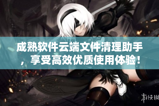 成熟软件云端文件清理助手，享受高效优质使用体验！
