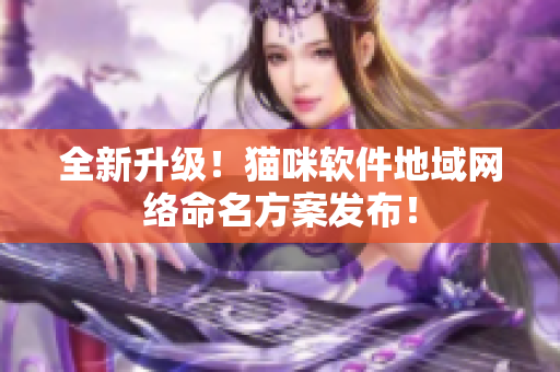 全新升级！猫咪软件地域网络命名方案发布！