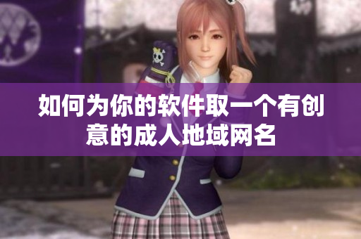 如何为你的软件取一个有创意的成人地域网名