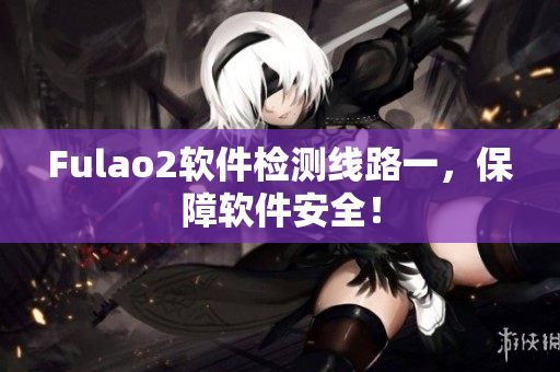 Fulao2软件检测线路一，保障软件安全！
