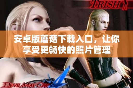 安卓版蘑菇下载入口，让你享受更畅快的照片管理