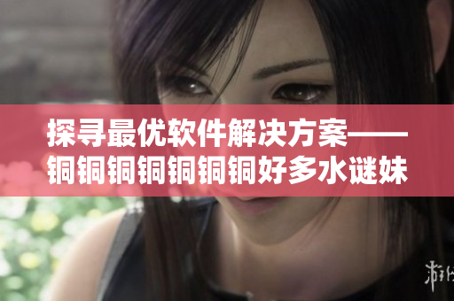 探寻最优软件解决方案——铜铜铜铜铜铜铜好多水谜妹