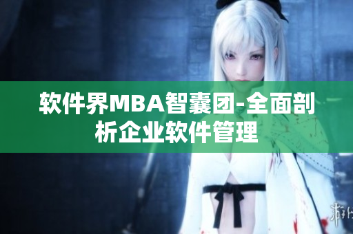 软件界MBA智囊团-全面剖析企业软件管理