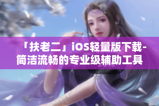 「扶老二」iOS轻量版下载-简洁流畅的专业级辅助工具