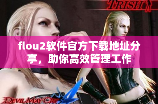 flou2软件官方下载地址分享，助你高效管理工作
