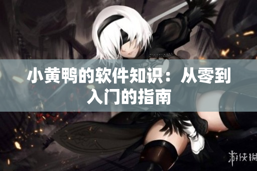 小黄鸭的软件知识：从零到入门的指南