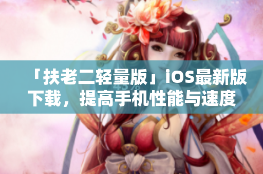 「扶老二轻量版」iOS最新版下载，提高手机性能与速度！